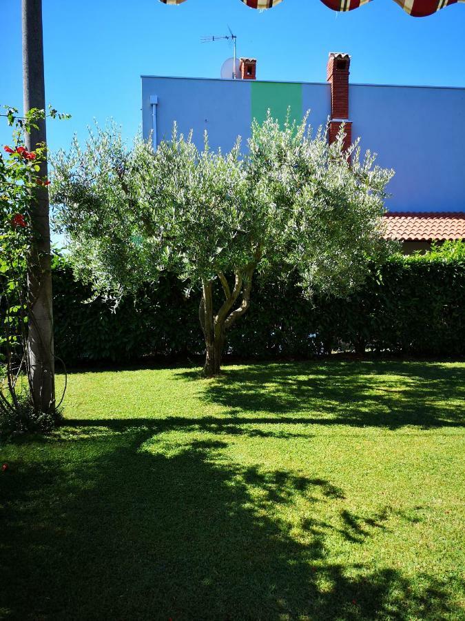 Apartman Olga Umag Zewnętrze zdjęcie